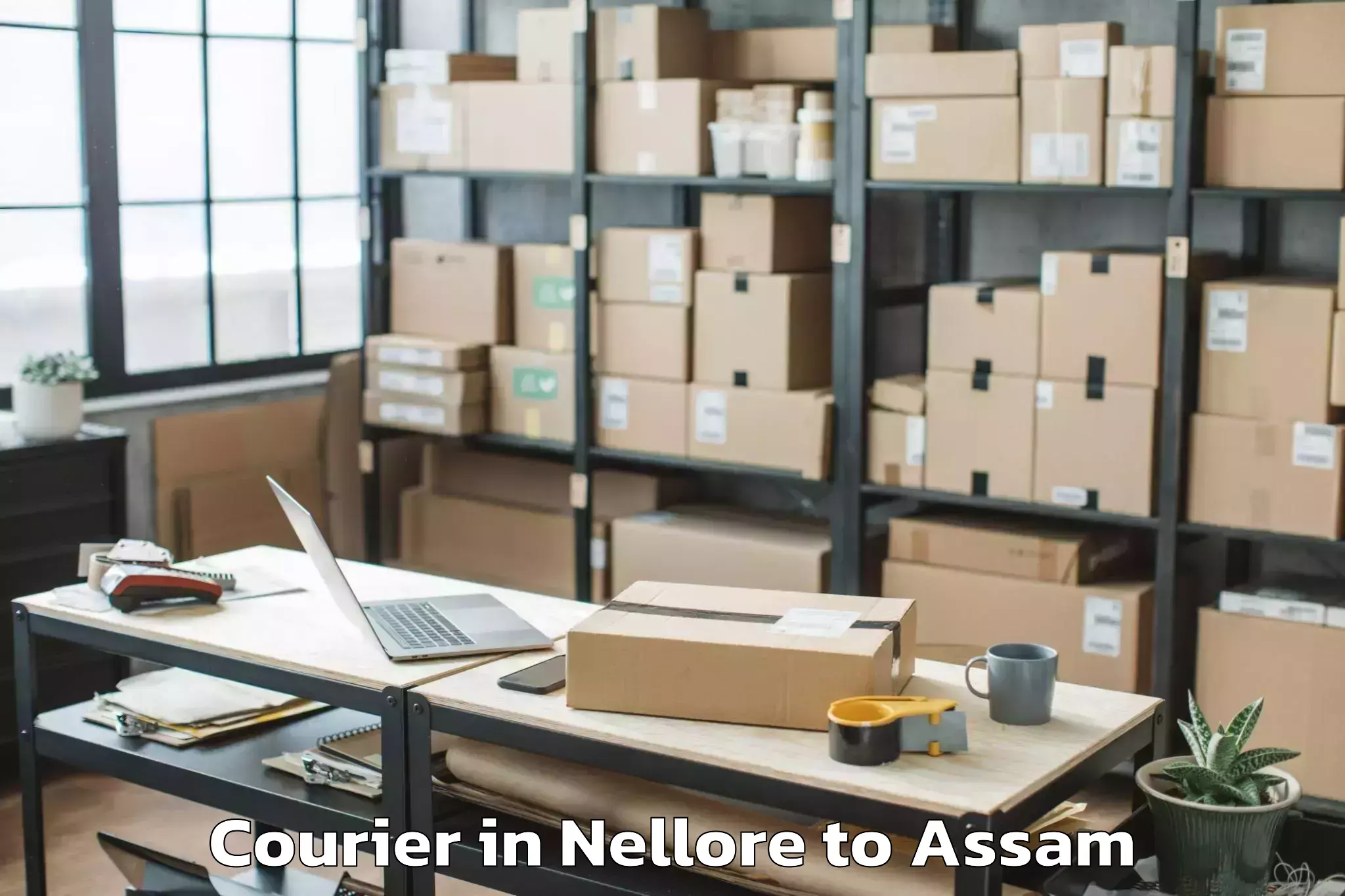 Reliable Nellore to Marigaon Courier